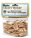 Mini-Clothespins.jpg