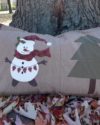 SNOVE-Pillow-1.jpg